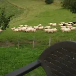 Orortegi * Aia