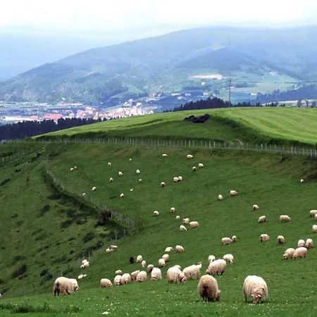 Orortegi Aia